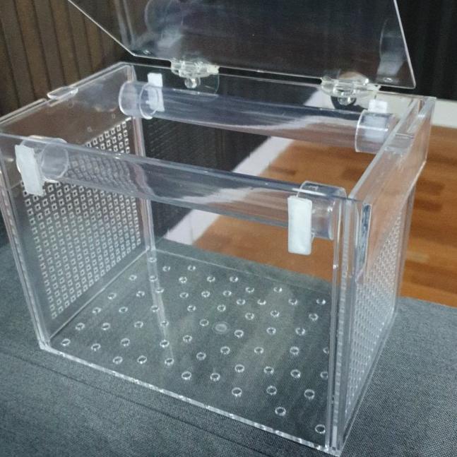 Box kotak acrylic akrilik karantina / aklimasi ikan P 23 L 13 T 15