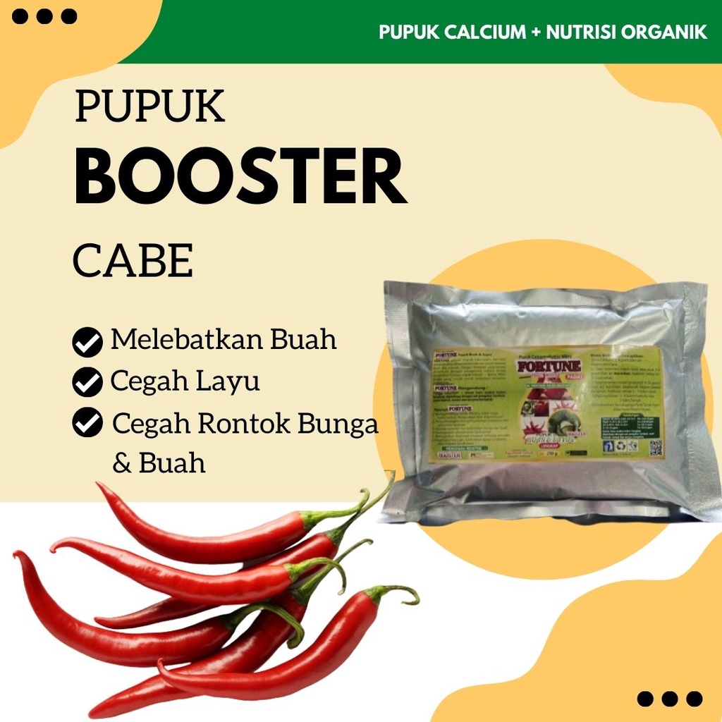 Pupuk Booster Cabe Organik Atasi Kuning Daun dan Keriting Cebe, Pupuk Pelebat Buah Cabe Rawit