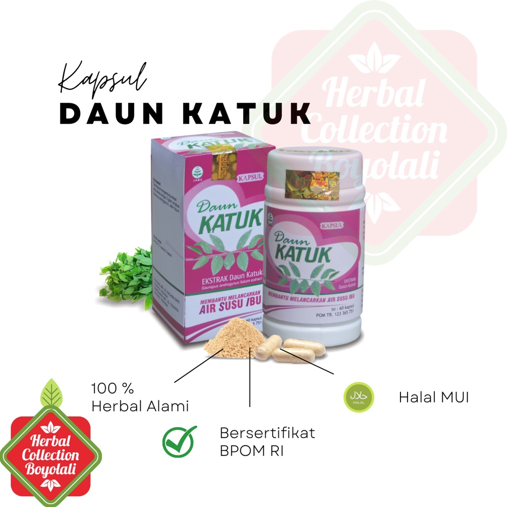 

kapsul herbal daun katuk tazakka isi 60 kapsul membantu malencarkan ASI