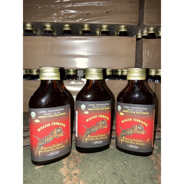 

jamu kuat pria macan terbang ramuan helbeh