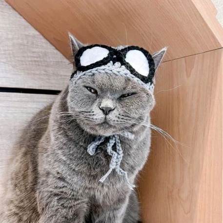 Meowverick Cat Crochet Hat (Topi Kucing Crochet Aviator / Pilot)