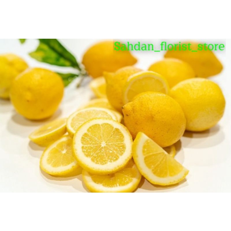 

(BISA COD) Jeruk lemon tea 500gram / buah jeruk lemon California / penambah imun