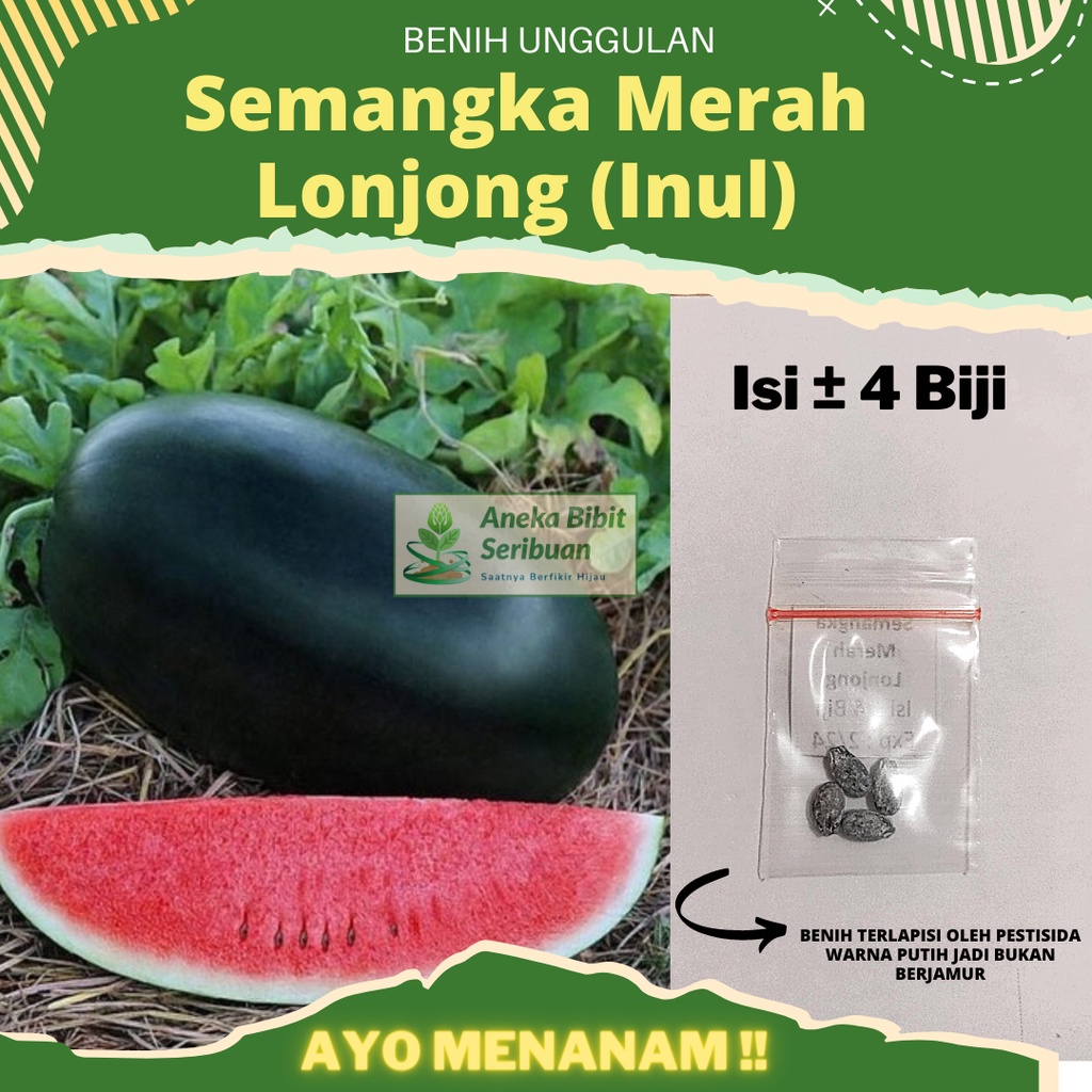 Semangka Merah Lonjong (INUL) Semangka Hibrida F1 &quot;WINDA&quot; Benih Pertiwi