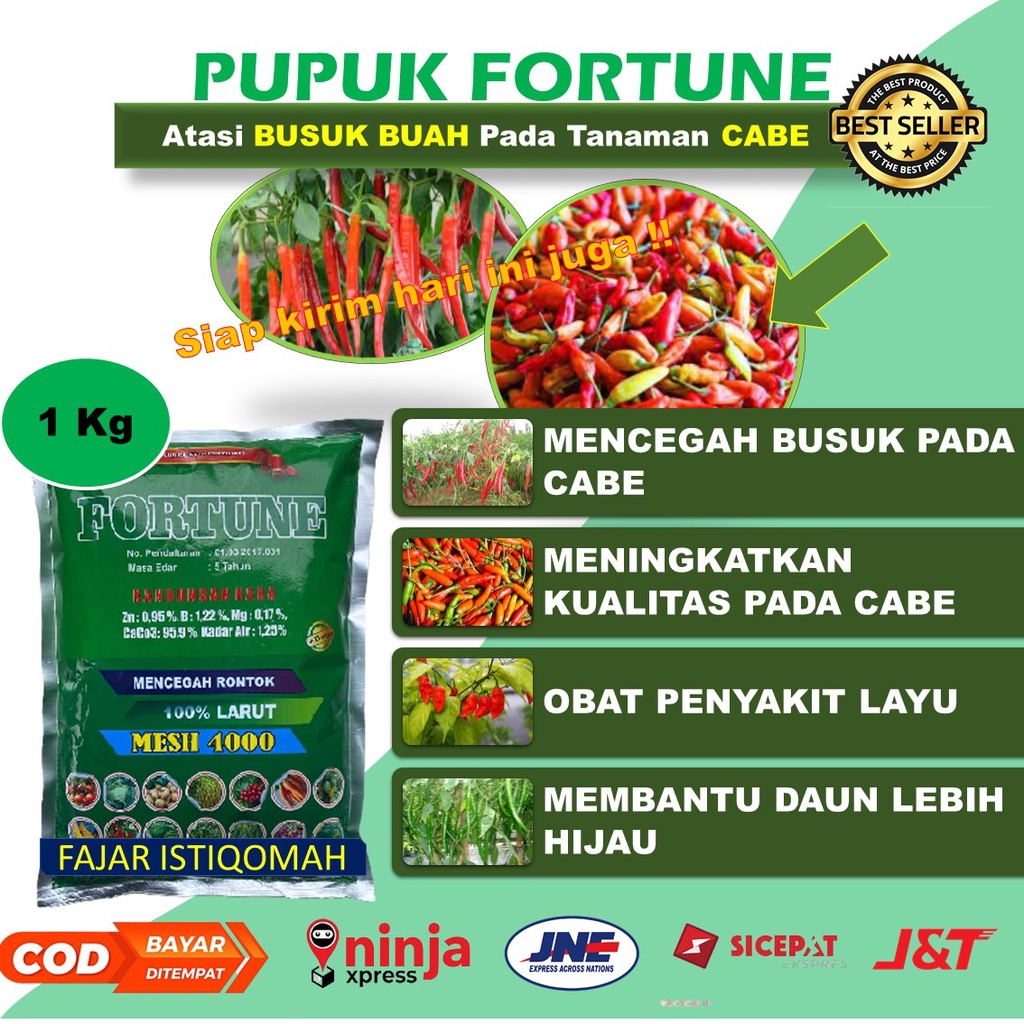 PUPUK FORTUNE OBAT LAYU CABE MANJUR  (1 kg)- Obat Layu Cabe Rawit - Obat Layu Fusarium Cabe - Obat C