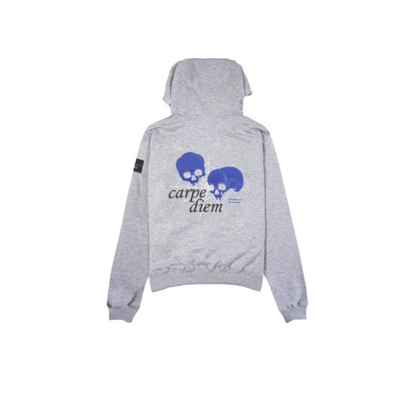 Hoodie W.Essentiels Franclet Misty Grey