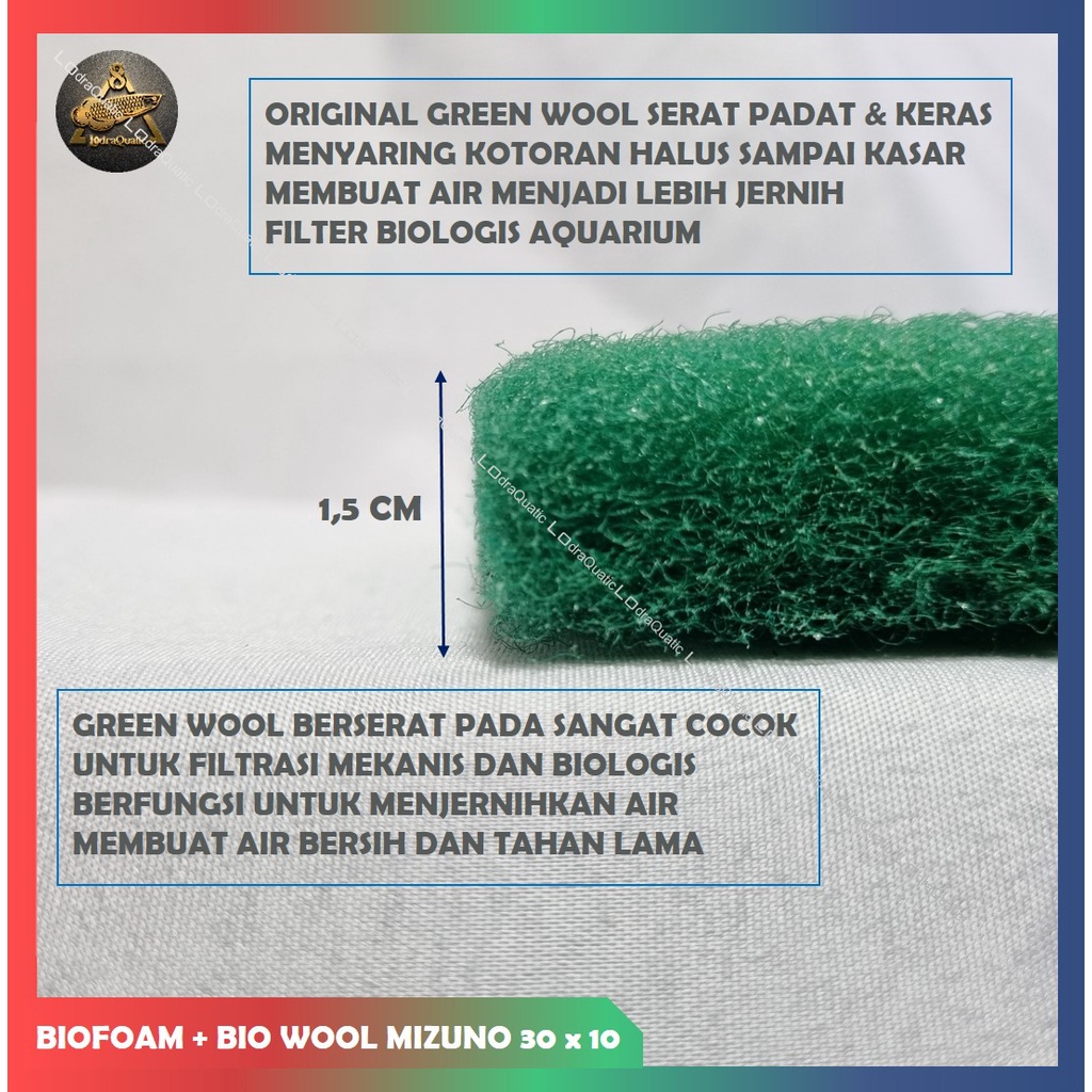 MIZUNO BIO FOAM + GREEN WOOL 30CM X 10CM FILTER AQUARIUM KAPAS BIO FOAM KAPAS HIJAU GREEN COARSE WOOL BUSA FILTER AQUARIUM MEDIA FILTRASI AQUARIUM KAPAS 2 LAPIS AQURIUM POMPA AQUARIUM LAMPU AQUARIUM AERATOR AQUARIUM IKAN HIAS CHANNA CUPANG