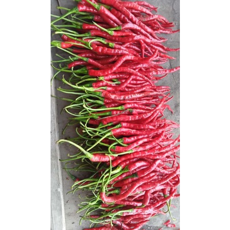 

bumbu dapur