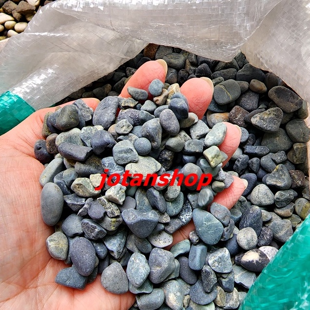 Batu Kupang Coral Koral Hitam Kecil 500gr Batu Alam Hias Taman Alor Kerikil Hitam Aquarium Aquascape Kolam 500 gr