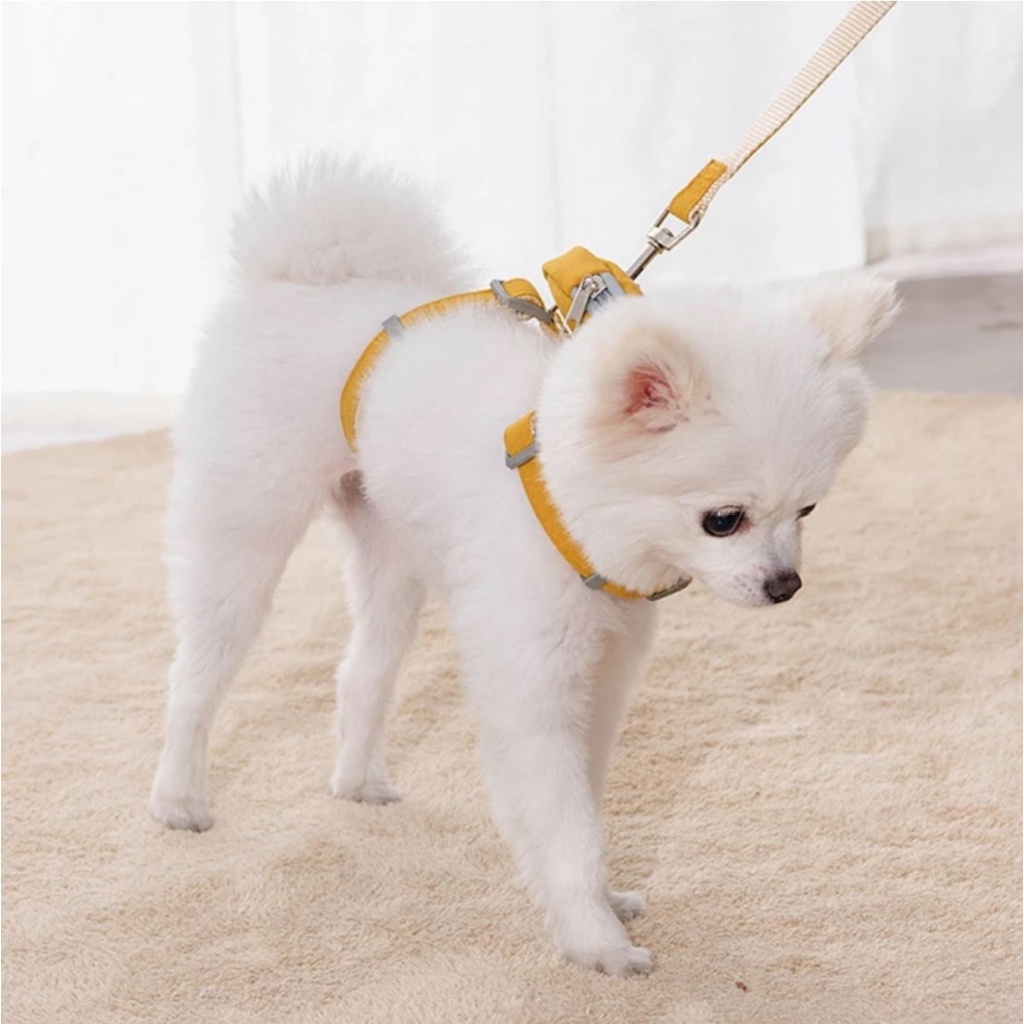 Pet Cute Bag Harness Kucing Anjing - Leash Tali Tuntun Tas Anjing Kucing
