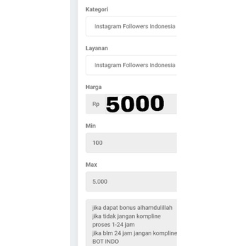 100followerIG
