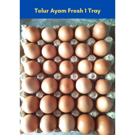 Telur Ayam Fresh 1 Tray