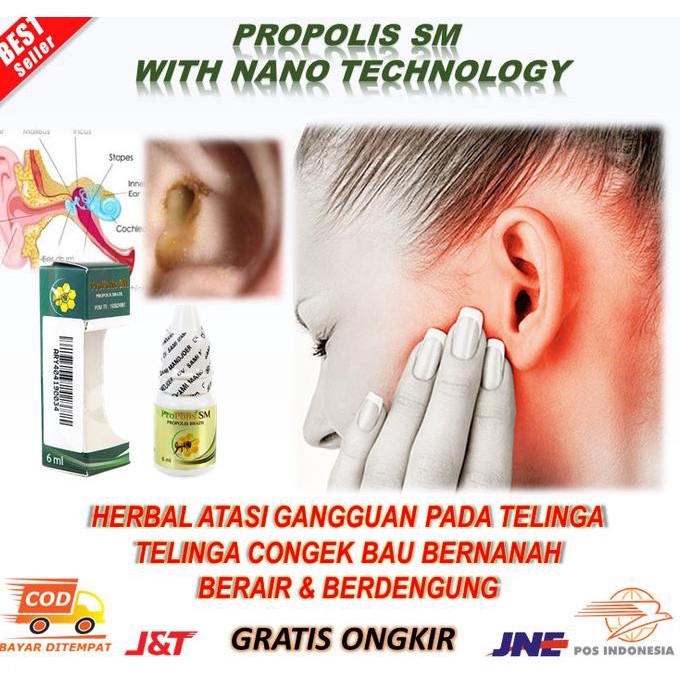 

TERBARU Obat Tetes Telinga Congek Curek Bernanah Berair Berdengung Propolis SM /OBAT TELINGA BERDENGUNG/OBAT TELINGA BERAIR/OBAT TELINGA TERSUMBAT/OBAT TELINGA BUDEG/OBAT TELINGA BERNANAH