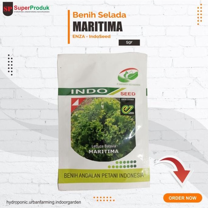 Benih Selada Maritima Enza 5gr - Indoseed