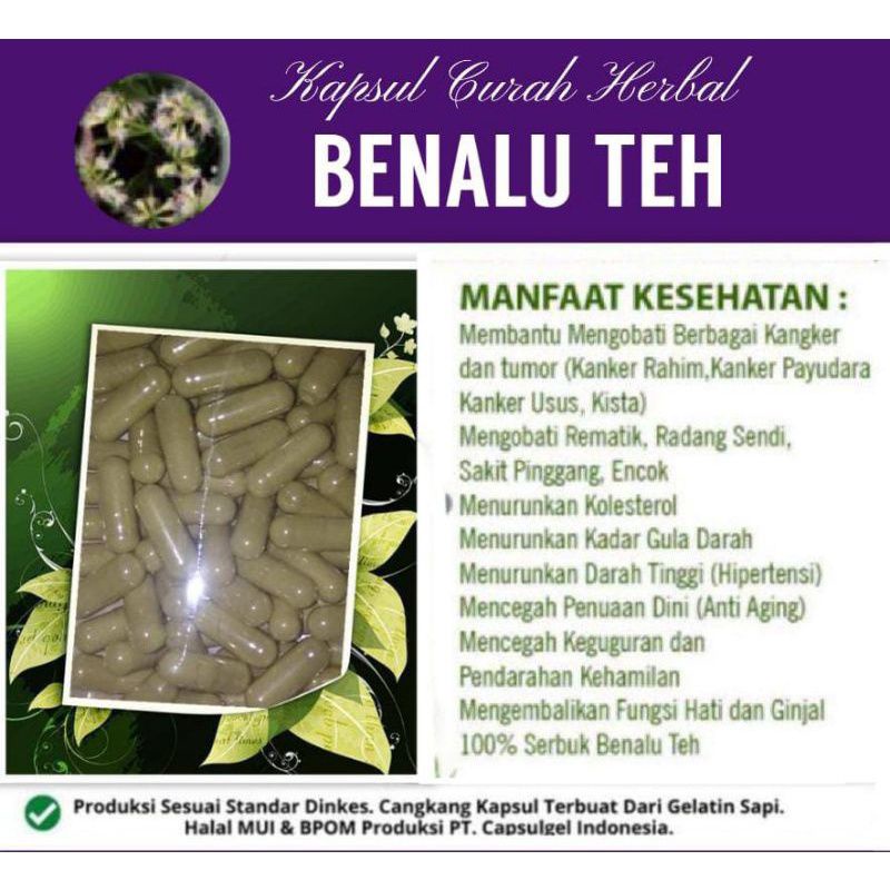 

Kapsul Curah Herbal Benalu Teh 100 Kapsul Kanker Syaraf Hipertensi Rematik