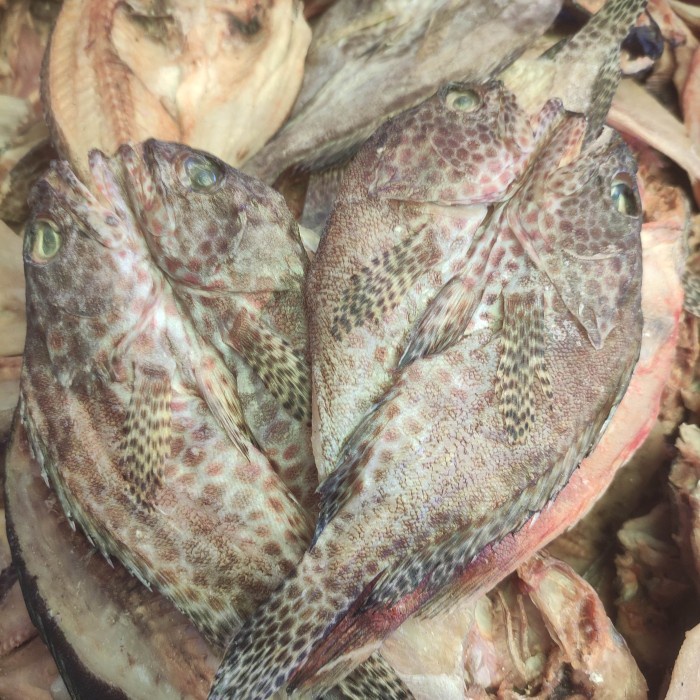 

ikan asin sunu makassar pasar online makassar