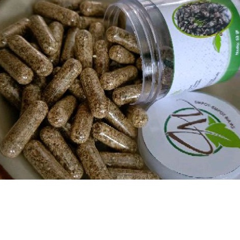 Mpot putih Kapsul mpot albino empot putih biang wd mpot ayam Madura mpot kapsul mpot putih kapsul mp