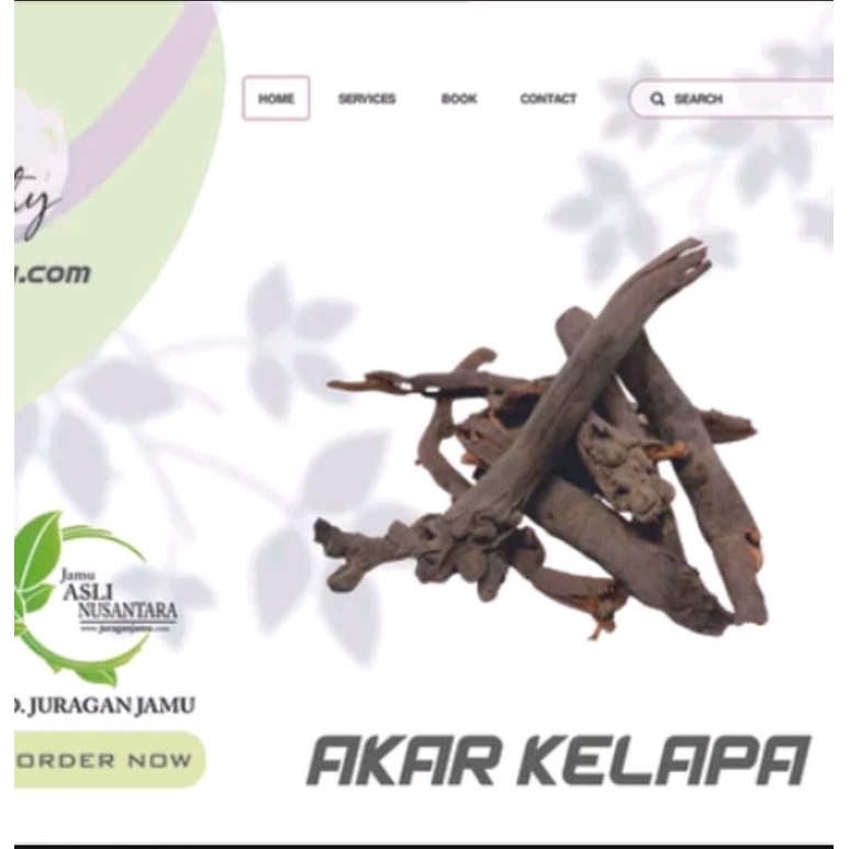 

Jamu Akar Kelapa kering utuh herbal pohon kelapa