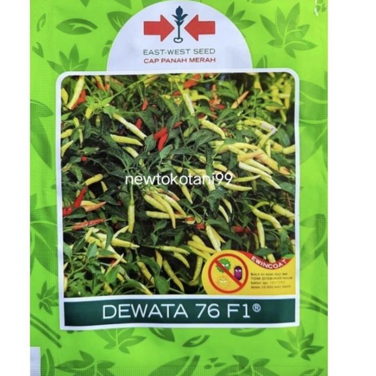 ➙ Benih cabe DEWATA 76 F1 2250 butir cabai rawit dewata 76 hibrida panah merah 10 gram ゞ