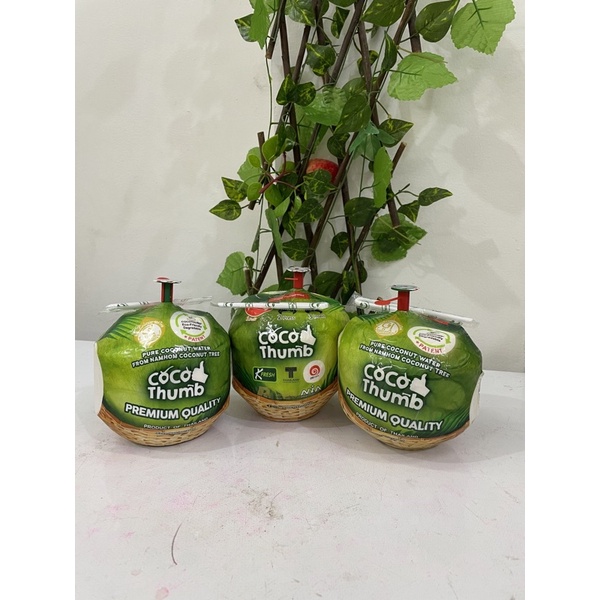 

Cocothumb Kelapa Thailand