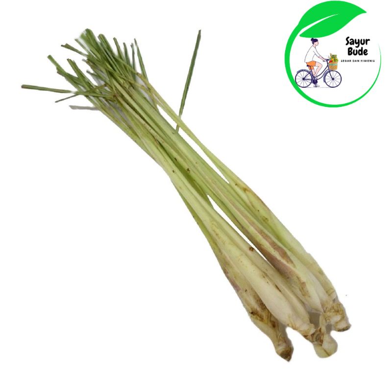 

Serai Bangkok Bersih Sereh Jumbo Daun Sereh Batang Rempah - 250 gr