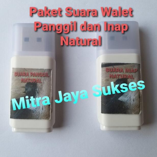 Suara Walet Panggil dan Inap Natural