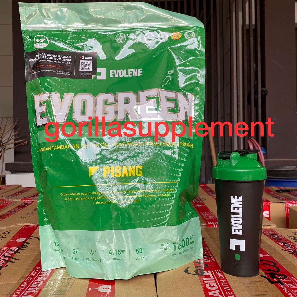 EVOLENE EVOGREEN 1600 Gram Isi 50 SACHET VEGAN PROTEIN Plant Based Vegetarian Suplement Fitness BEBAS LAKTOSA  SUSU