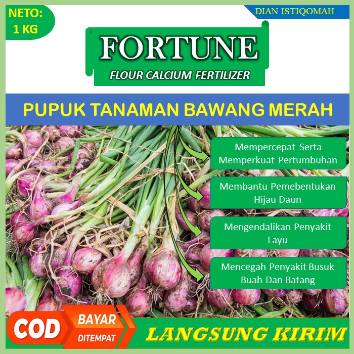 ( Terbaru ) Pupuk Kalsium FORTUNE 1 KG – Pupuk Untuk Tanaman Bawang Merah - Obat Busuk Tanaman Bawan