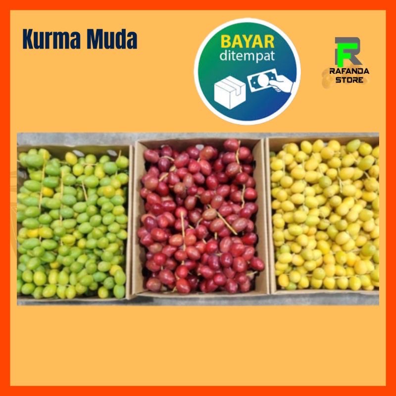 Kurma Muda 250 gram