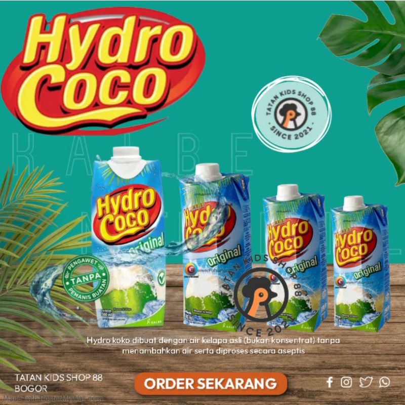Jual Hydro Coco 500 Ml Minuman Air Kelapa Asli Shopee Indonesia 4058