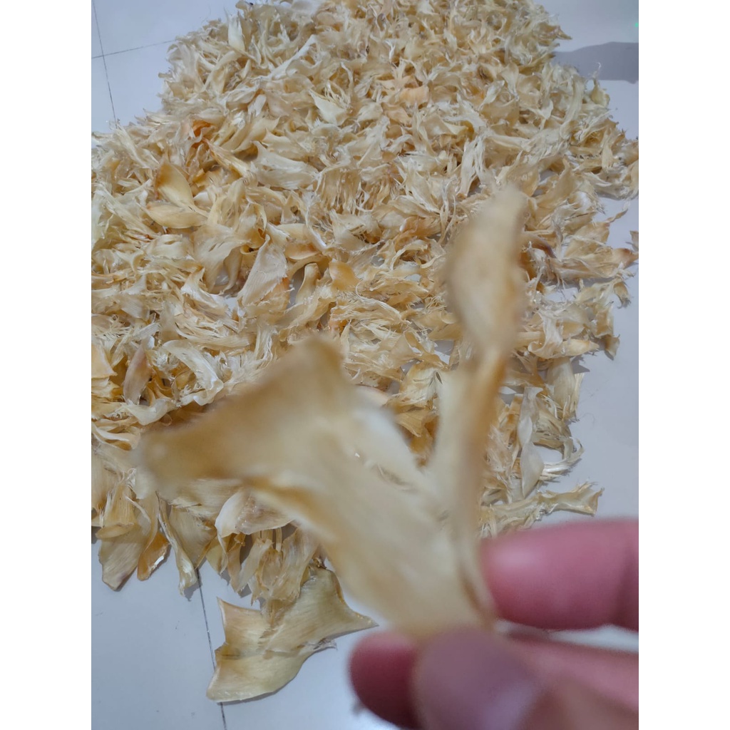 

Hisit SHARK FIN Sirip Hiu