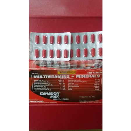 Ganador max 10 tablet