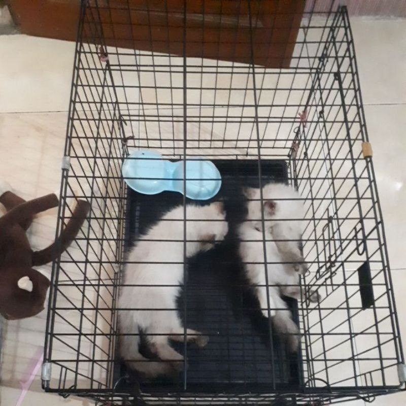 kandang kucing besi