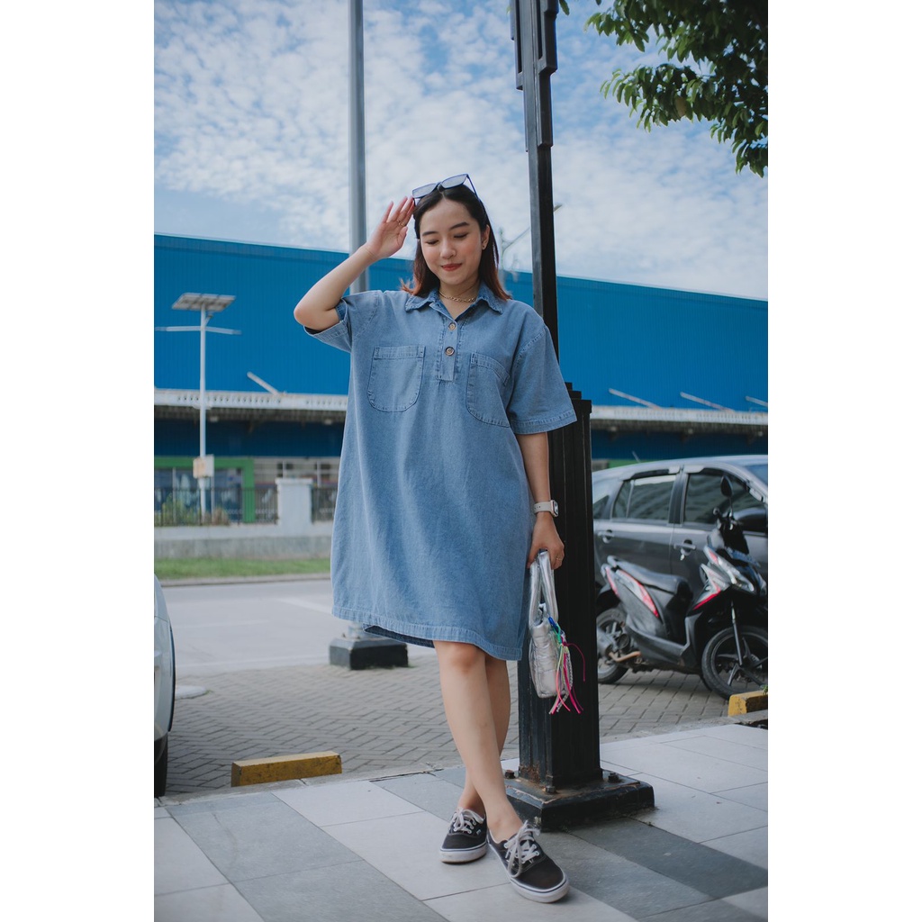 Amora Dress Denim