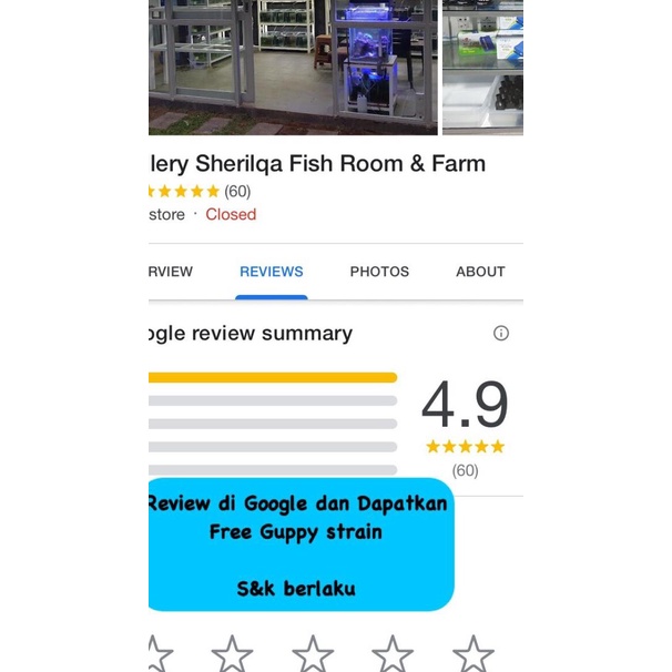 Artemia Sienna by Fishowner Big Red / Artemia Tetas Kultur