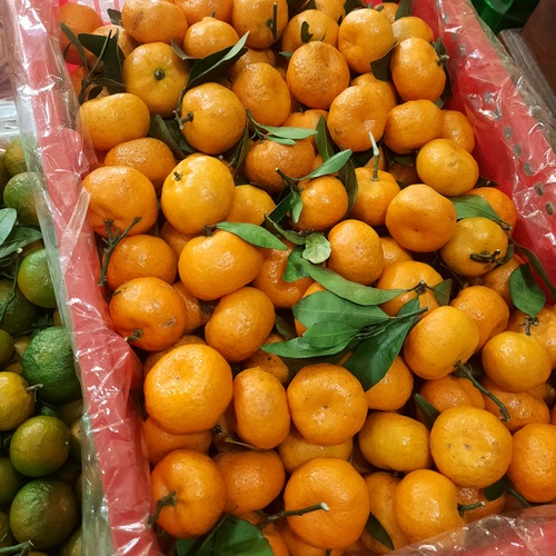 

Buah Segar Jeruk Santang 500 Gram