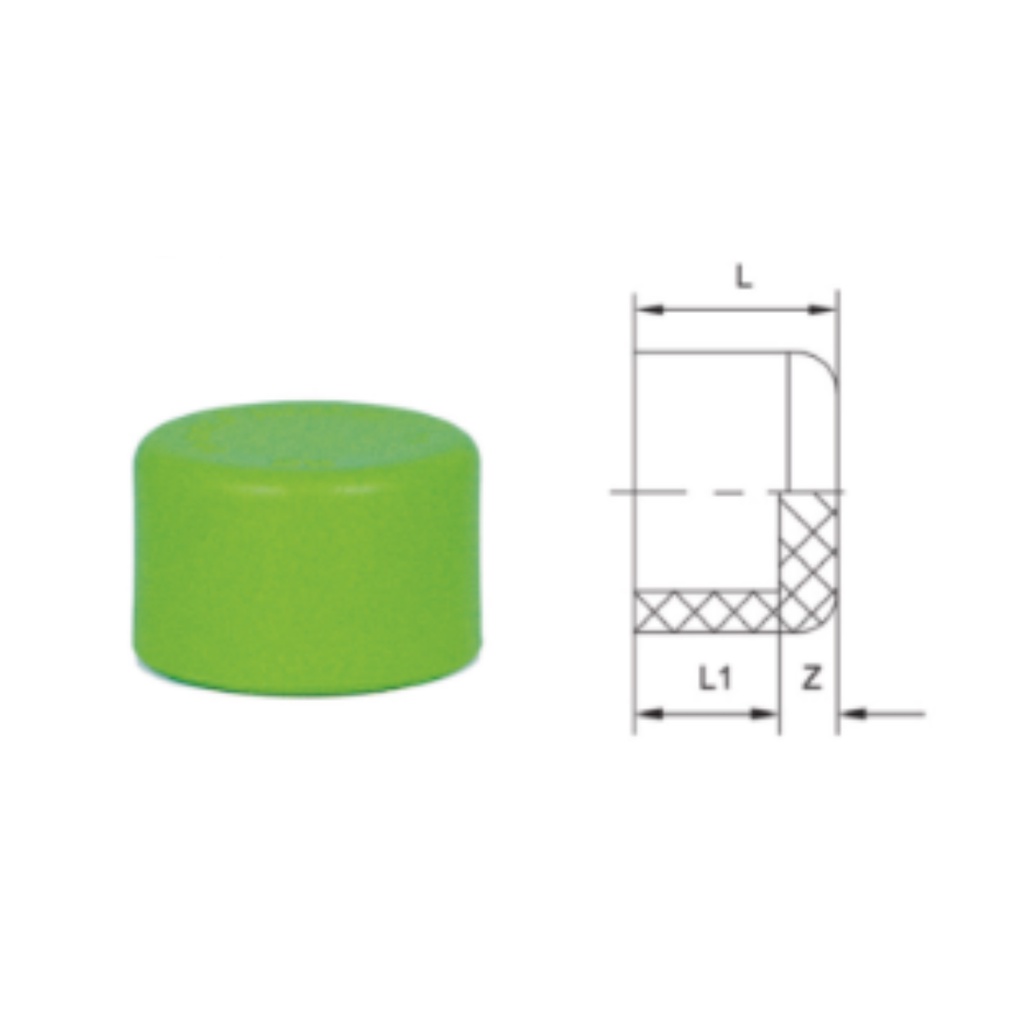 Lesso PPR Cap dn20 1/2&quot; / Dop 20mm 1/2 inch