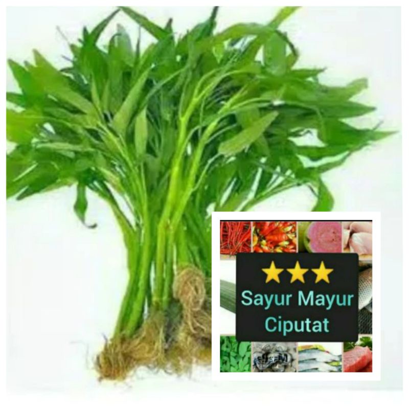 

Kangkung segar per 1ikat