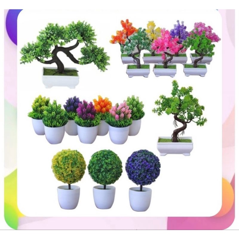 DEKORASI RUANG RUANGAN MEJA TAMU KAMAR BELAJAR TAMAN CAFE POT BUNGA BONSAI BONGSAI SERUNI BULAT LOTU
