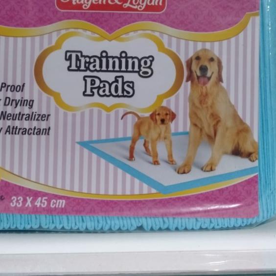 Underpad Hagen uk 33x45 isi 50pcs