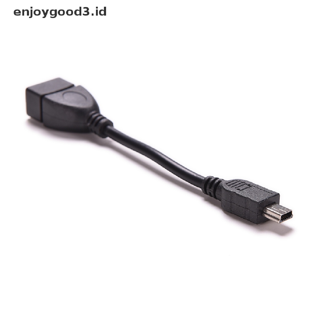 Kabel Adapter Mini 5p Male Ke USB 2.0 Tipe A Female Jack OTG Host