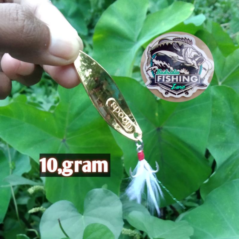 spoon 10,gram ultralight lure