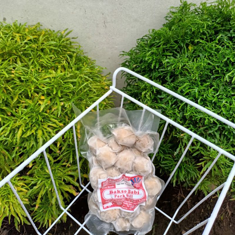 

bakso babi