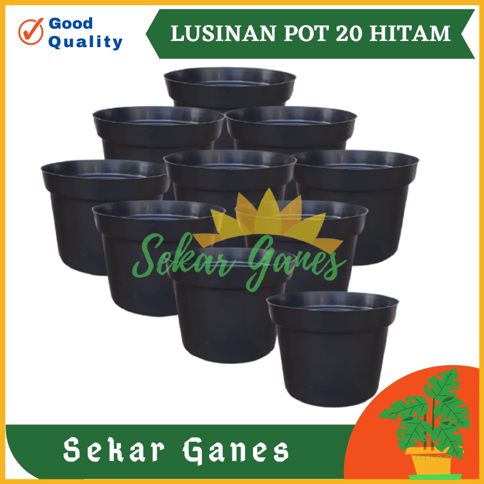 LUSINAN Pot Bunga 20 Putih Hitam Merah Bata Coklat Terraccota Terakota Polos Pot Bunga Hias Grosir Murah Plastik Lusinan Pot 20 Bibit TERMURAH Pot Tanaman 20cm Hitam MURAH-LUSINAN Pot Bunga Murah /Pot Tanaman /Pot Plastik uk 20 CM Hitam (isi 12 PCS)