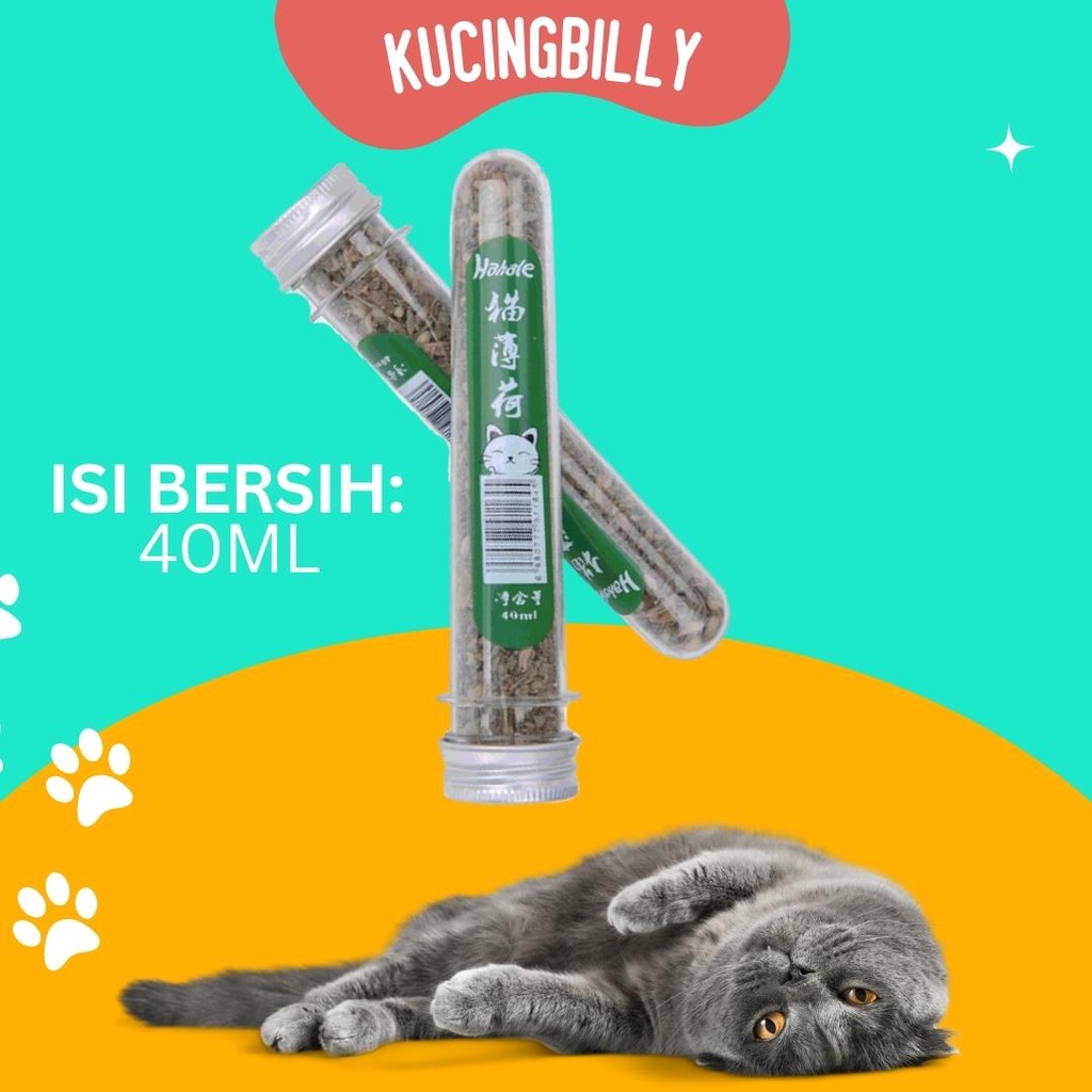 Bubuk Catnip kucing 40ml