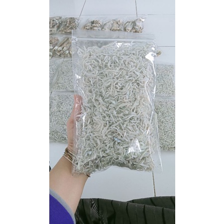 

Teri Medan