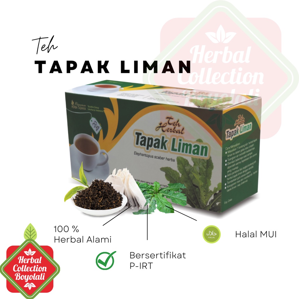 

Teh Herbal Tapak Liman Tazakka untuk anti radang alami tanpa efek samping Teh Antioksidan Daun Tapak liman Antiradang Tazakka Original Halal BPOM Isi 20 Kantung Celup Tea