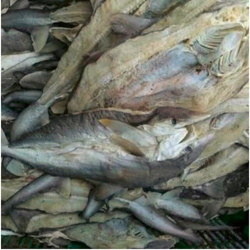 

Ikan Asin Hiu Cucut/Hiu Kecil Baby Hiu Sa Eng Pu/Sua He Pou 500 Gram