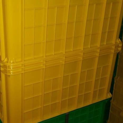 

Expedisi 64x43x22 Hanata 2101 Box Container Keranjang Bak Kolam Ikan