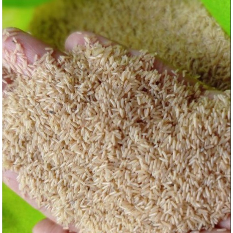 

telur jangkrik alam super 150gram