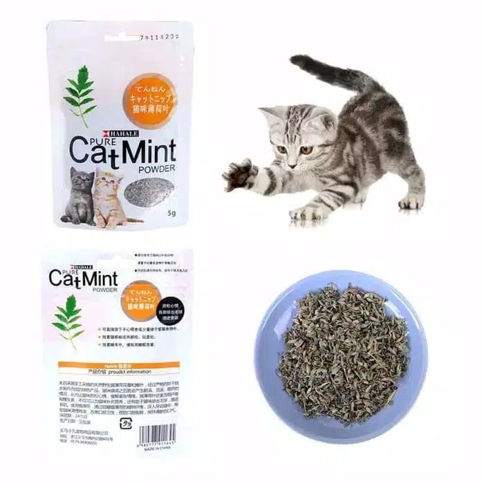 Cat Mint Kucing Powder 5 gr / Catnip Kucing / Pure MInt